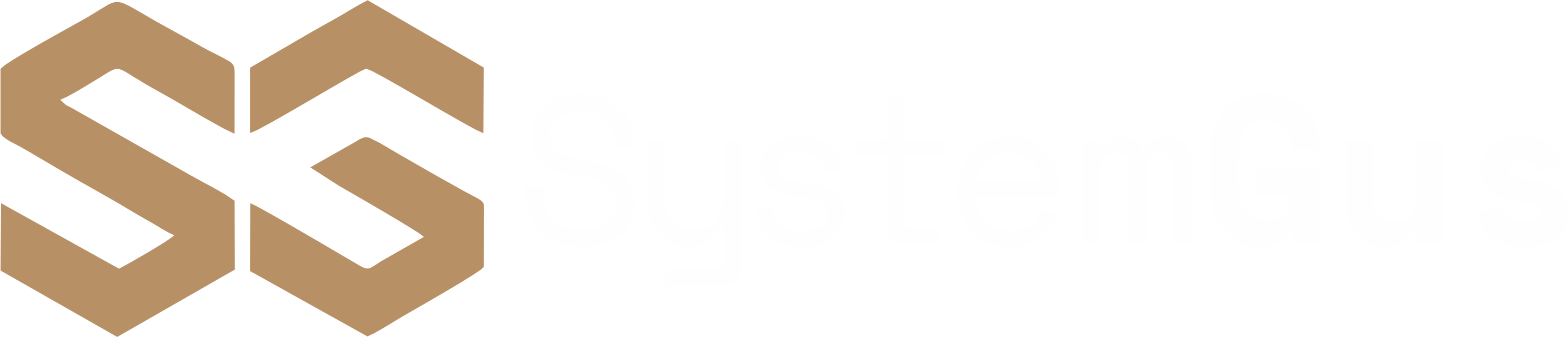 SystemGus